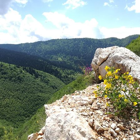 Montenegrinabih, Petrovici, Istocno SJJ Exteriér fotografie