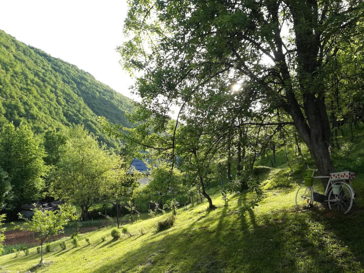 Montenegrinabih, Petrovici, Istocno SJJ Exteriér fotografie
