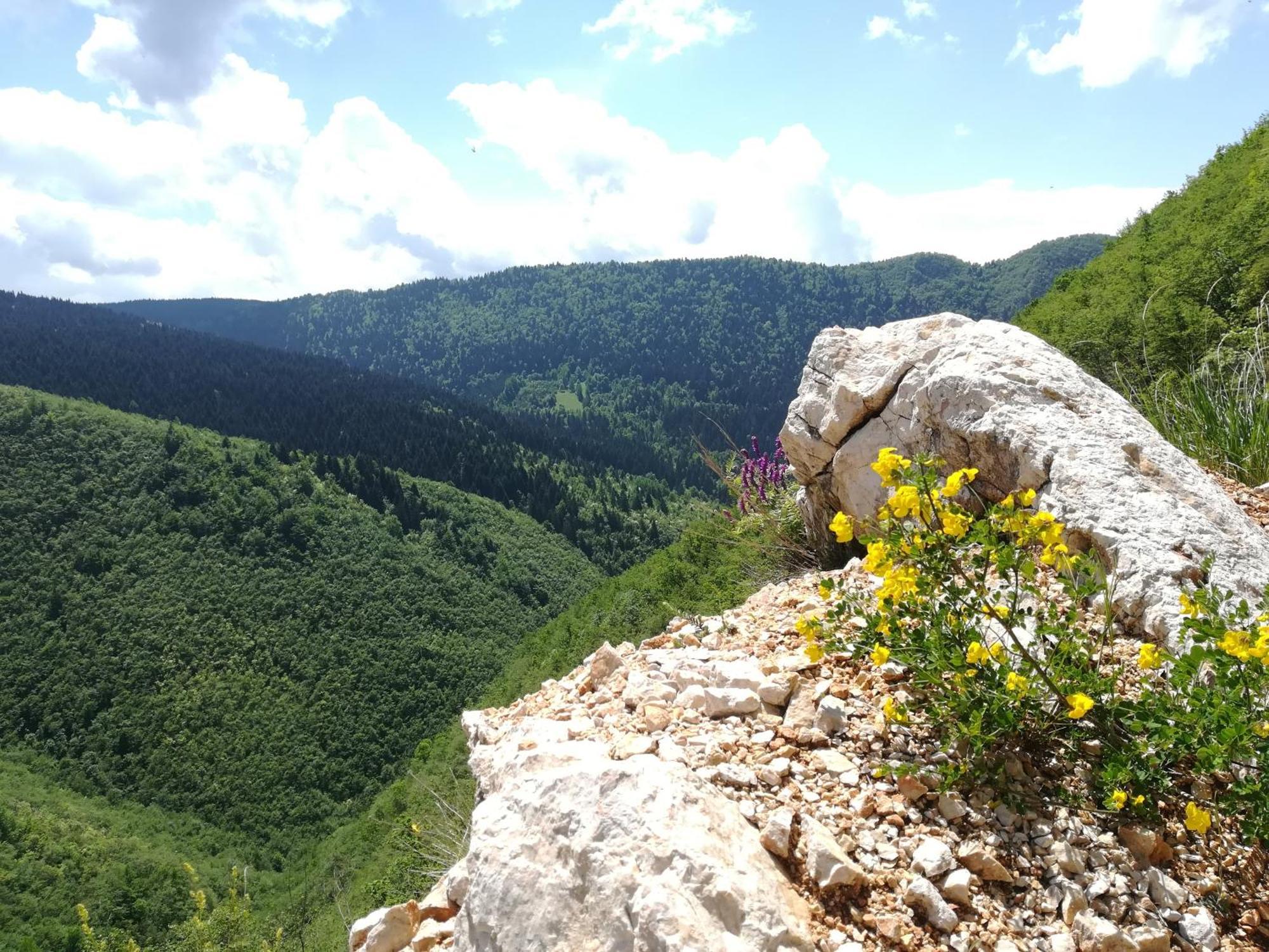 Montenegrinabih, Petrovici, Istocno SJJ Exteriér fotografie